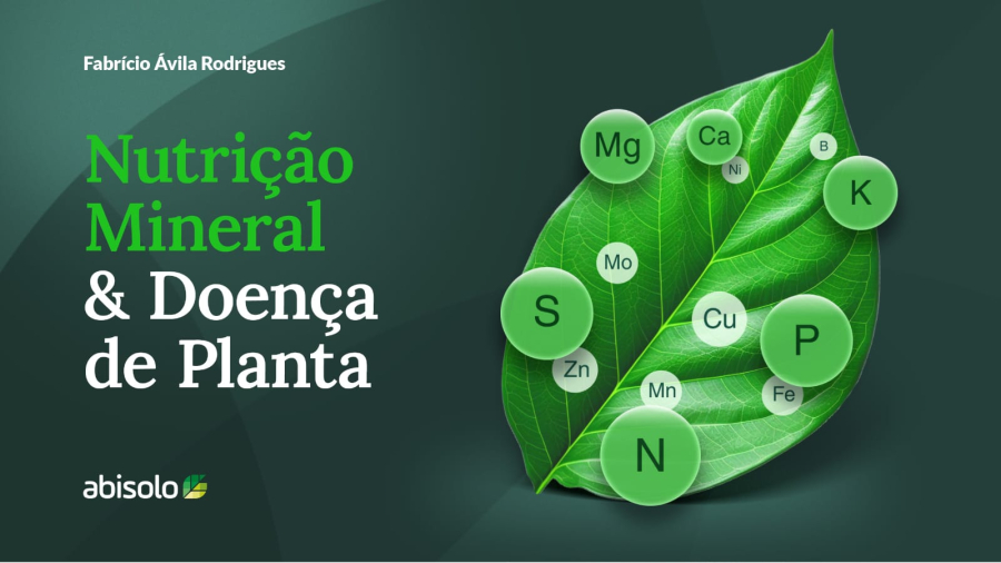 Abisolo lança guia sobre nutrientes e saúde das plantas